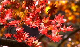 ちきゅう遊び　＃２８