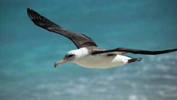 地球ものがたり