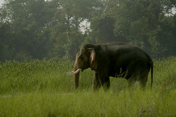 地球ものがたり
