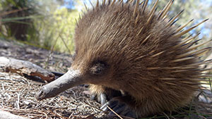 ディスカバリー傑作選　地球ものがたり