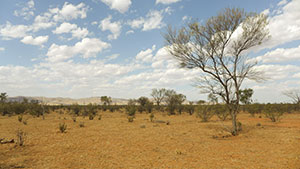ディスカバリー傑作選　地球ものがたり