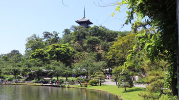 わたしの芸術劇場