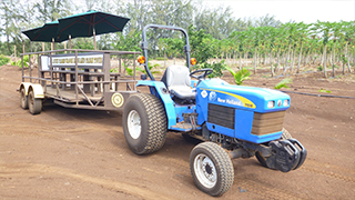 おいしいハワイ　オアフ島