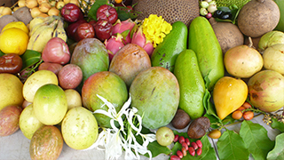 おいしいハワイ　オアフ島