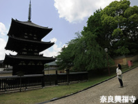 日本ほのぼの散歩2時間スペシャル「世界遺産と国宝に出会う 古都・奈良」