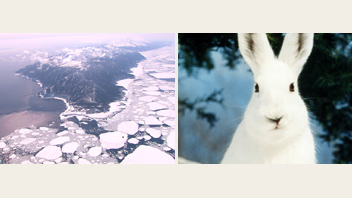 北の自然と野生シリーズ