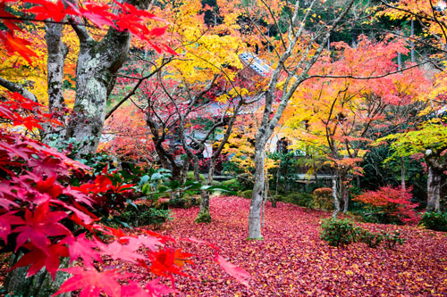 圓光寺