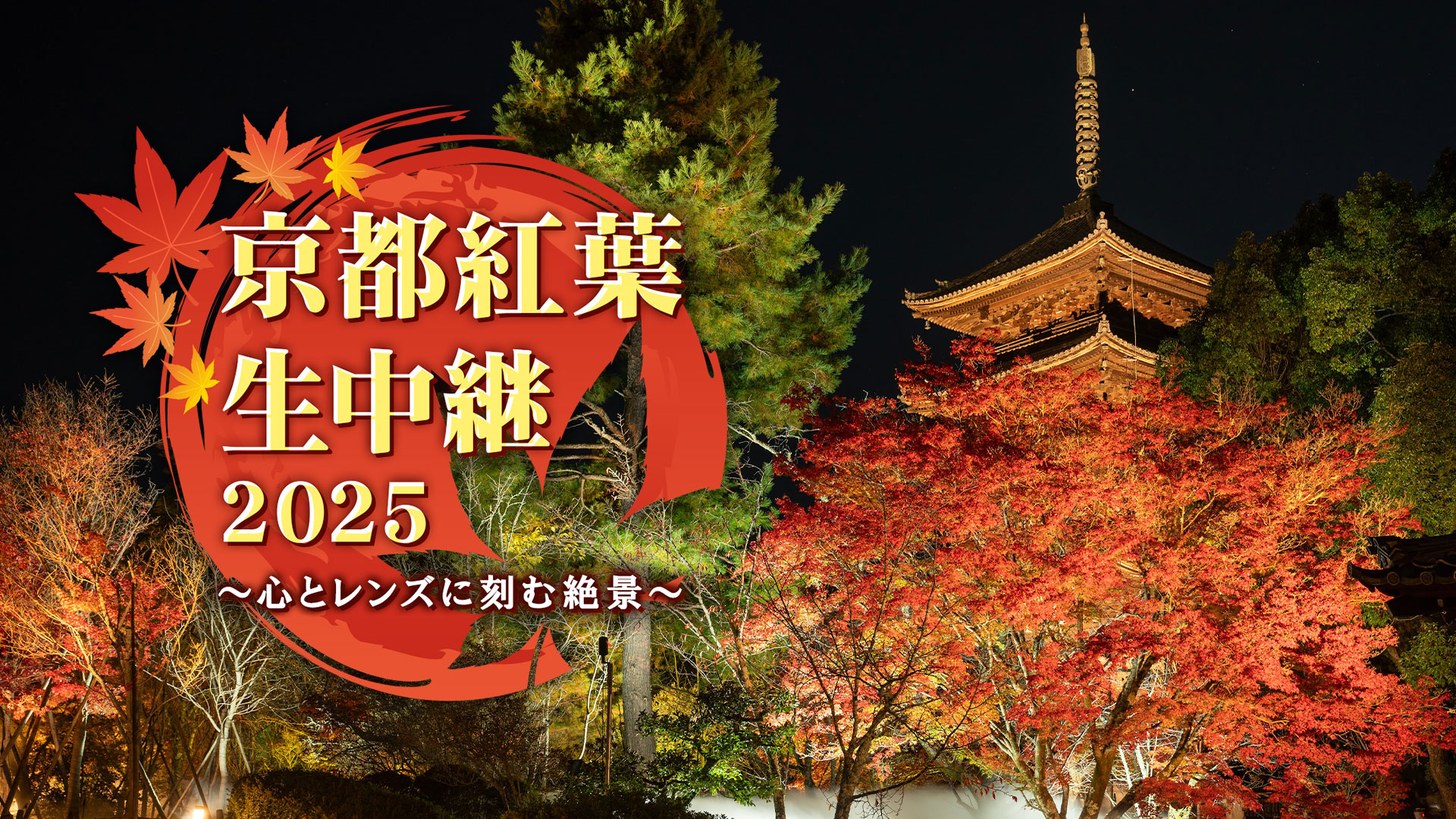 京都紅葉生中継2025 心とレンズに刻む絶景 京都紅葉生中継2025 心とレンズに刻む絶景