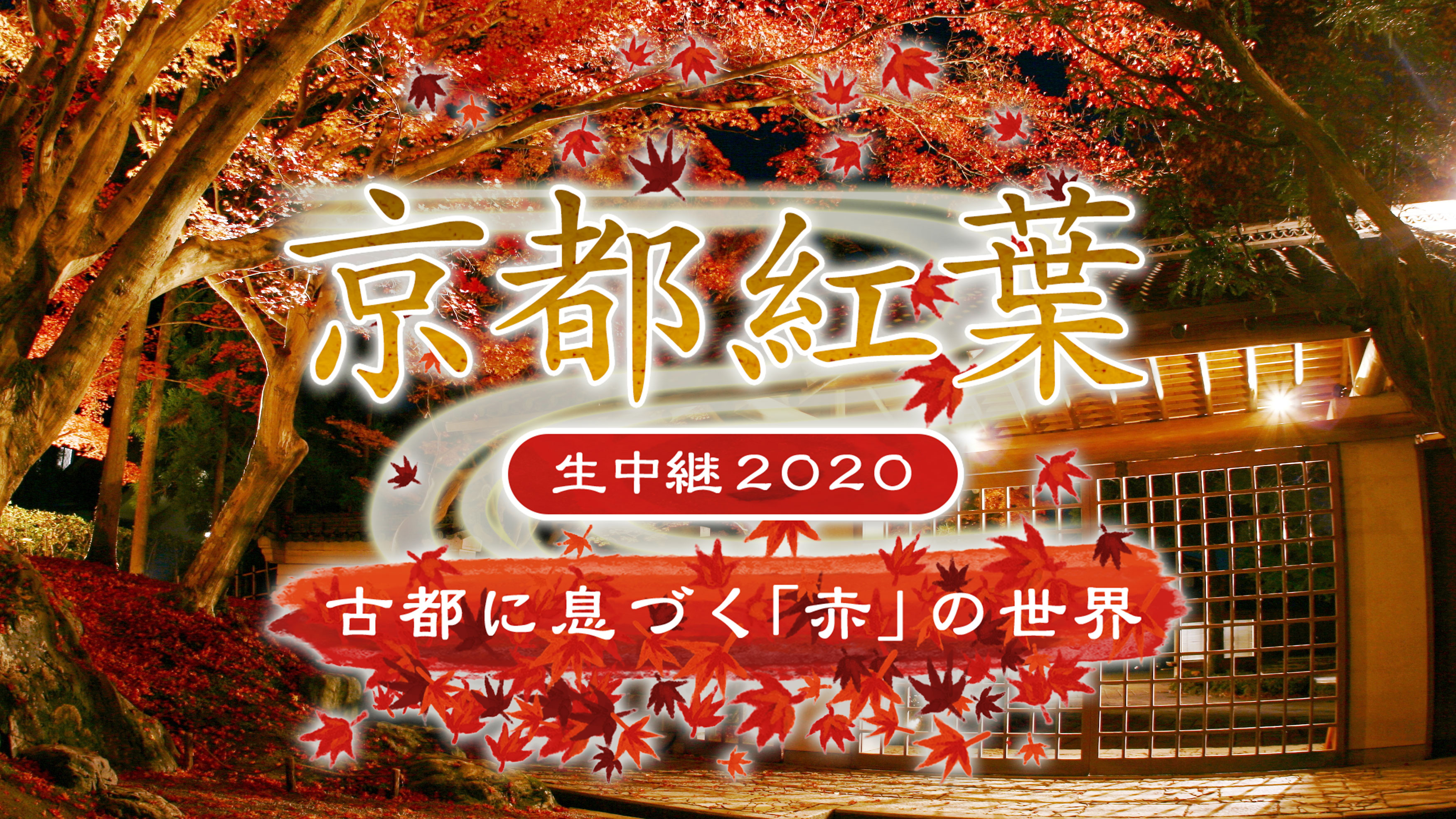 京都紅葉生中継2020～古都に息づく「赤」の世界～