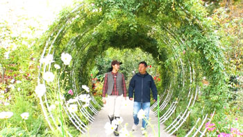 BS11プラスで過去の放送回を配信中！