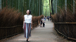 京都浪漫～美と伝統を訪ねる～