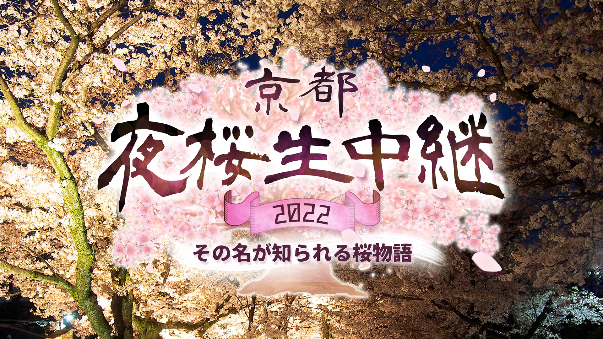 京都夜桜生中継2022～その名が知られる桜物語～