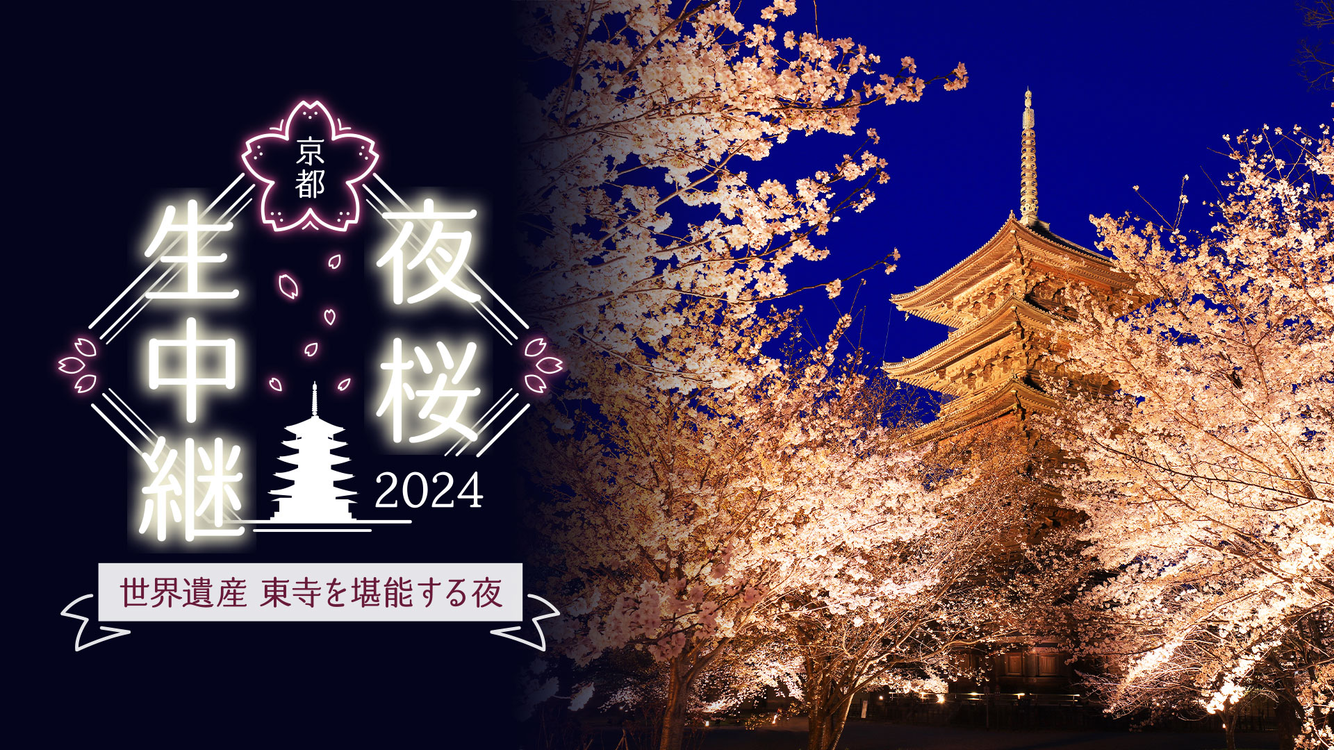 京都夜桜生中継2024～世界遺産東寺を堪能する夜～オールイン 運命の愛