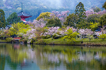 京都浪漫　悠久の物語