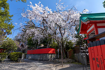 京都浪漫　悠久の物語