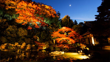 京都浪漫　悠久の物語