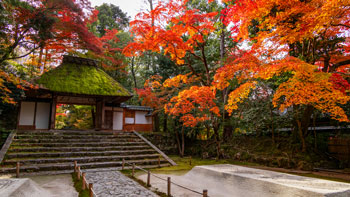 京都浪漫　悠久の物語