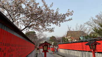 京都浪漫　悠久の物語