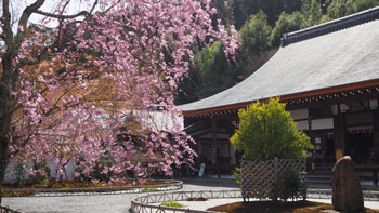 京都浪漫　悠久の物語