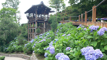 京都浪漫 悠久の物語