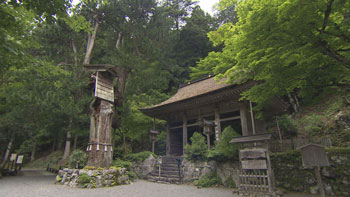京都浪漫 悠久の物語