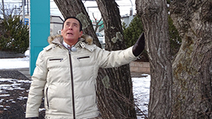 心のふるさと ローカル線の旅