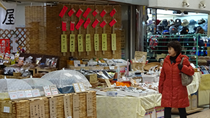 心のふるさと ローカル線の旅