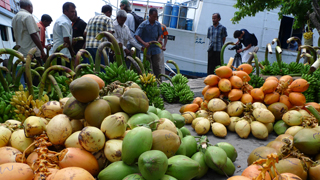 モルディブ~マンタの舞う海へ~