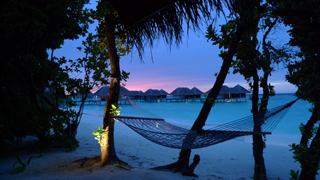 モルディブ~マンタの舞う海へ~