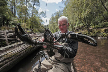 ディスカバリー傑作選　ダーク・ウォーターズ