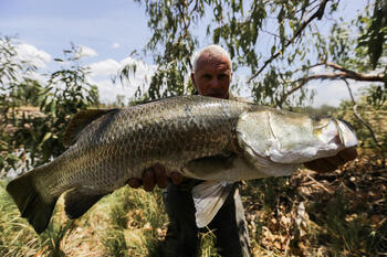 ディスカバリー傑作選　ダーク・ウォーターズ