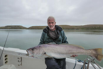 ディスカバリー傑作選　ダーク・ウォーターズ
