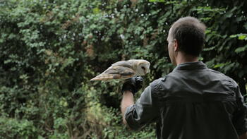 ディスカバリー傑作選　動物なぜなに研究室