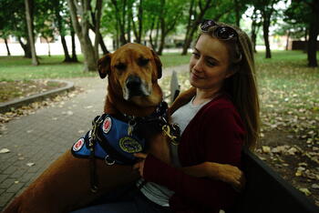 ディスカバリー傑作選　動物なぜなに研究室