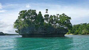 地球最後の秘境　パプアニューギニア～精霊の祭りと太古の海～