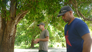 パプアニューギニア 南の島の波物語