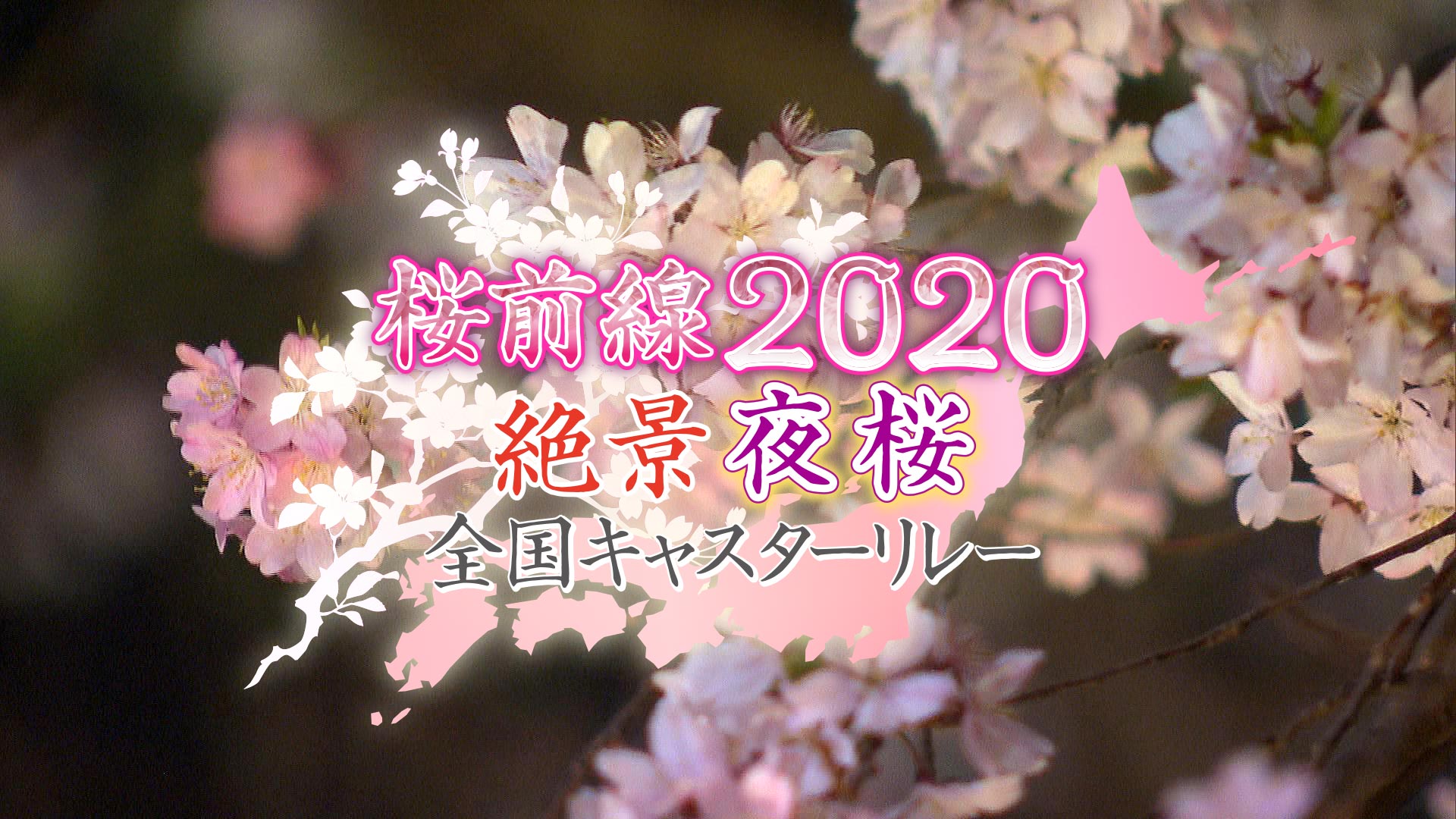 桜前線2020 絶景夜桜 全国キャスターリレー