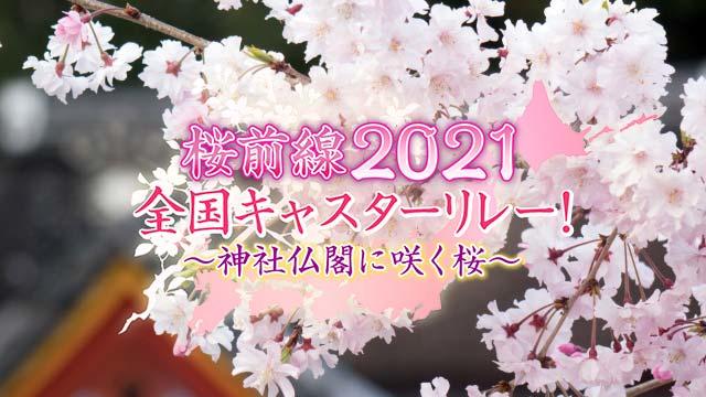桜前線2021 全国キャスターリレー！～神社仏閣に咲く桜～
