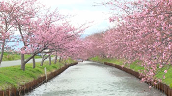 BS11プラスで過去の放送回を配信中！