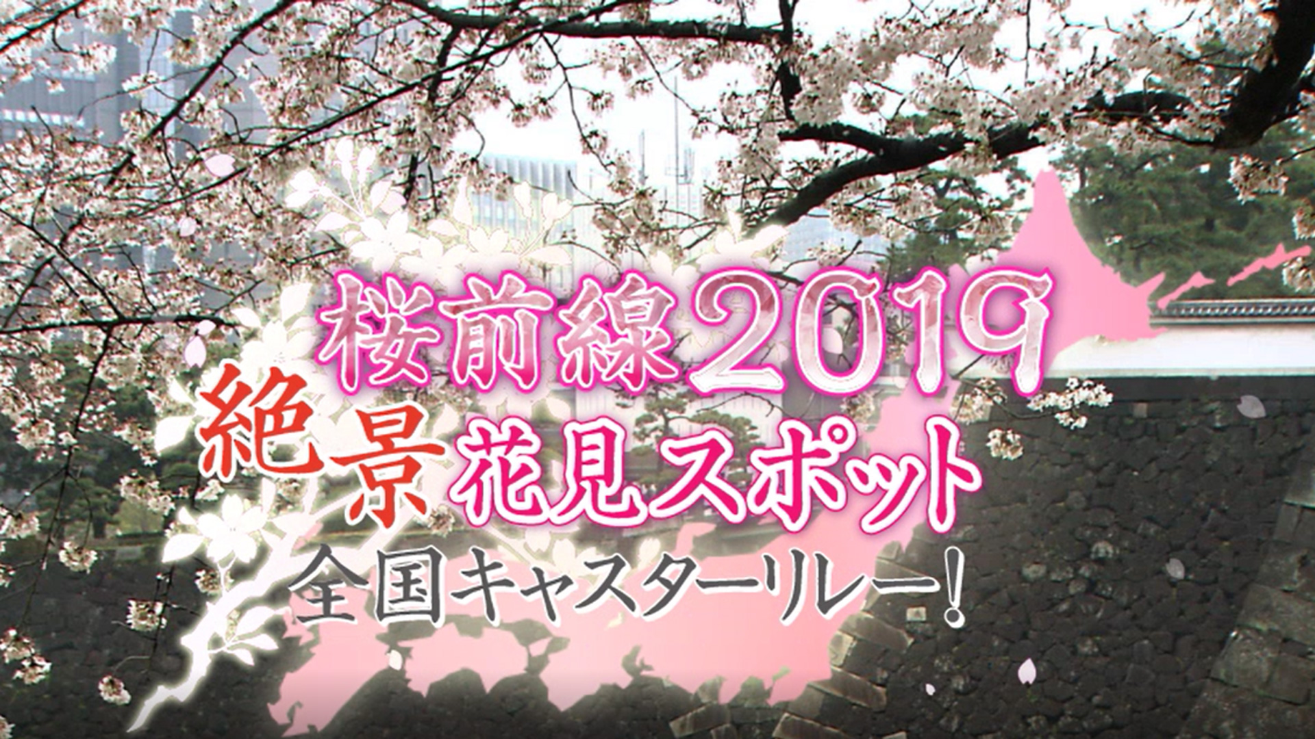 桜前線2019絶景花見スポット全国キャスターリレー！