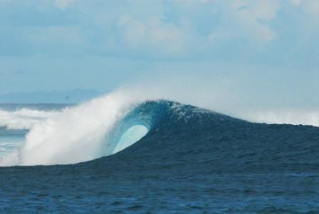 サーフトリップ