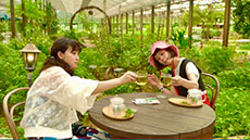 私たち鉄印帳はじめます。