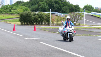 MOTORISE