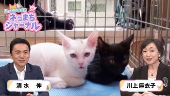 BS11プラスで見逃し＆アーカイブ配信中！