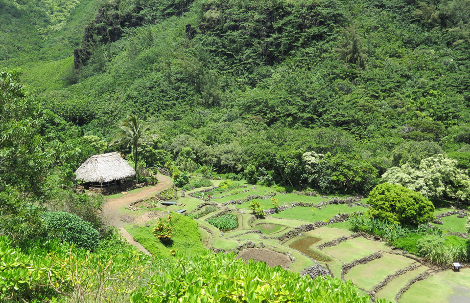 リマフリガーデン