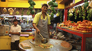 デカン・オデッセイ号～歴史の街と絶景の海岸線・インド屈指の観光地をめぐる豪華列車の旅 第5回