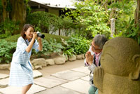 江ノ電とあじさい　鎌倉のんびり散策 第７回