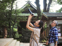 羽田美智子　想い出のふるさと茨城を撮る 第12回