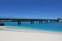 天国に一番近い島ニューカレドニア　世界遺産の海と太古の自然 2時間スペシャル 第2回