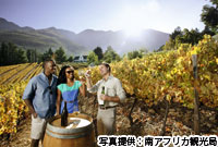 現地滞在7日間で満喫　南アフリカの旅 2時間スペシャル 第7回